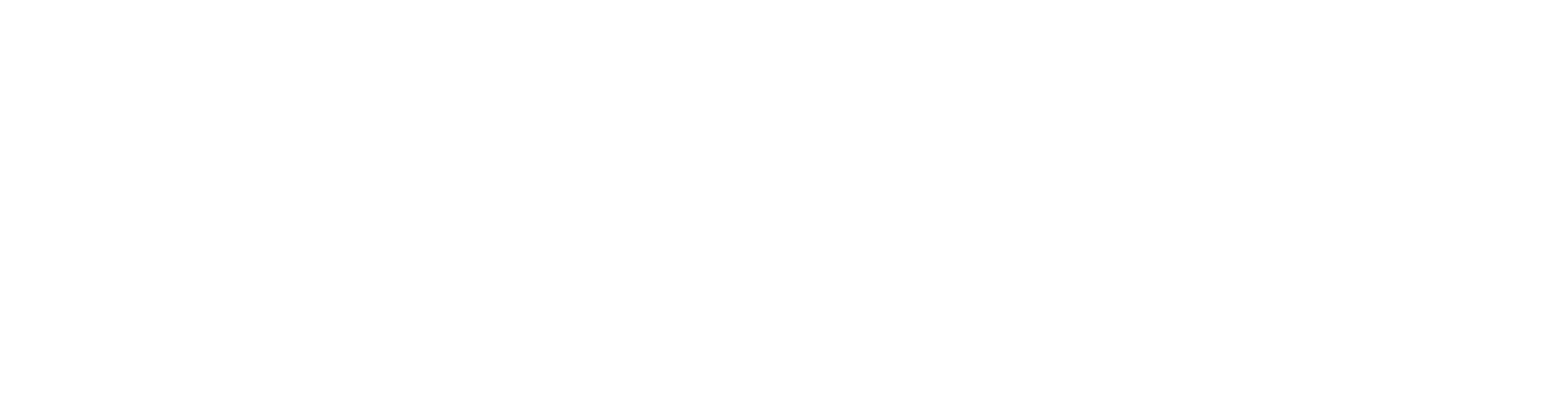 Pieter Media