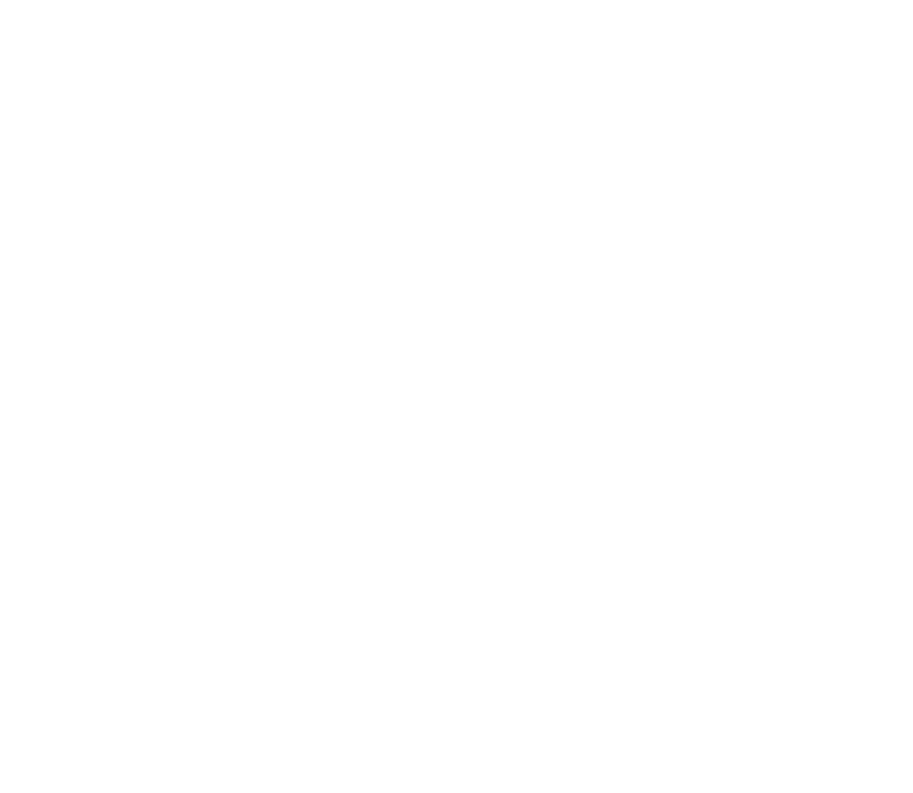 Pieter Media
